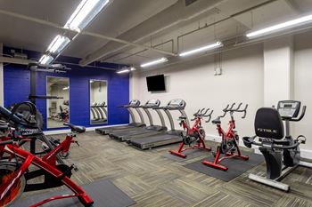A gym with cardio bikes and other exercise equipment